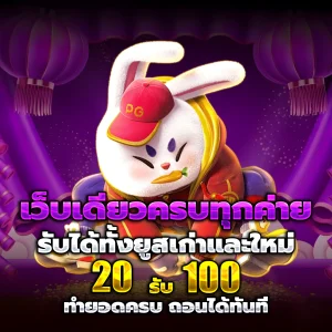 วันดี88